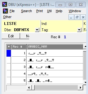 file read in ( Xdbu ) Xbase